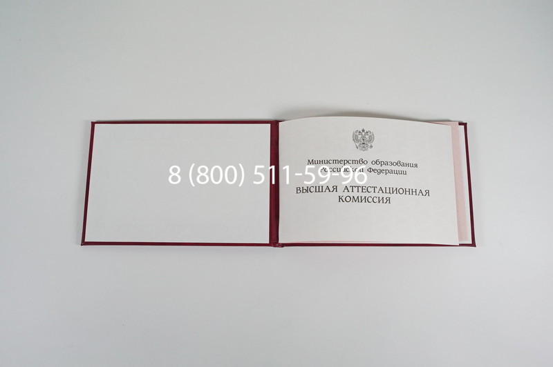 Диплом доктора наук 1995-2006 года в Сургуте Диплом доктора наук 1995-2006 года в Сургуте