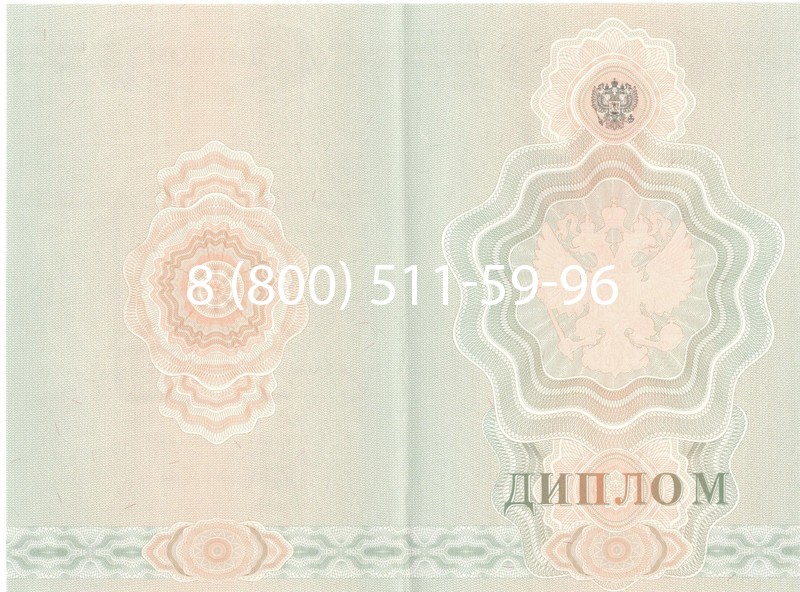 Купить Диплом ПТУ 2007-2010 годов в Сургуте