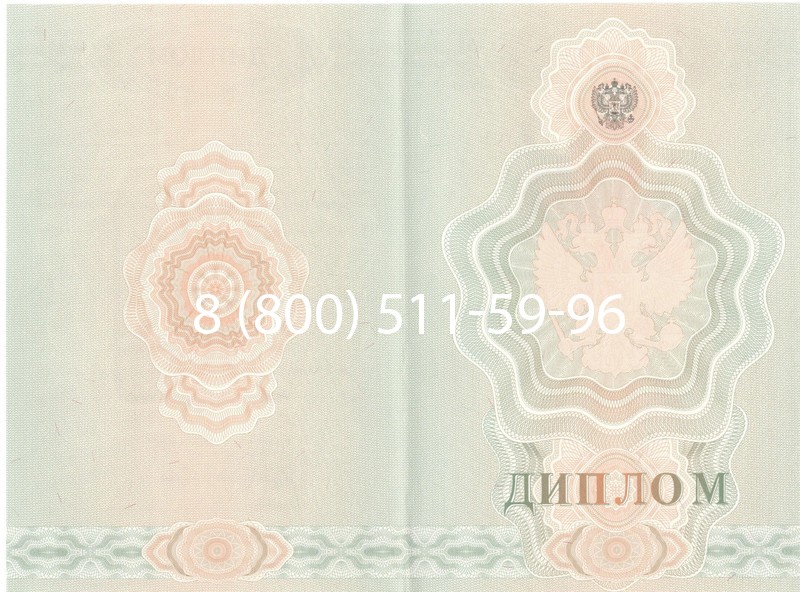 Купить Диплом училища 2007-2009 годов в Сургуте Купить Диплом училища 2007-2009 годов в Сургуте